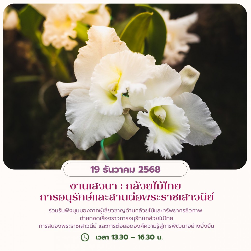 FILE-20251213-1341R7S99R7VAT2P