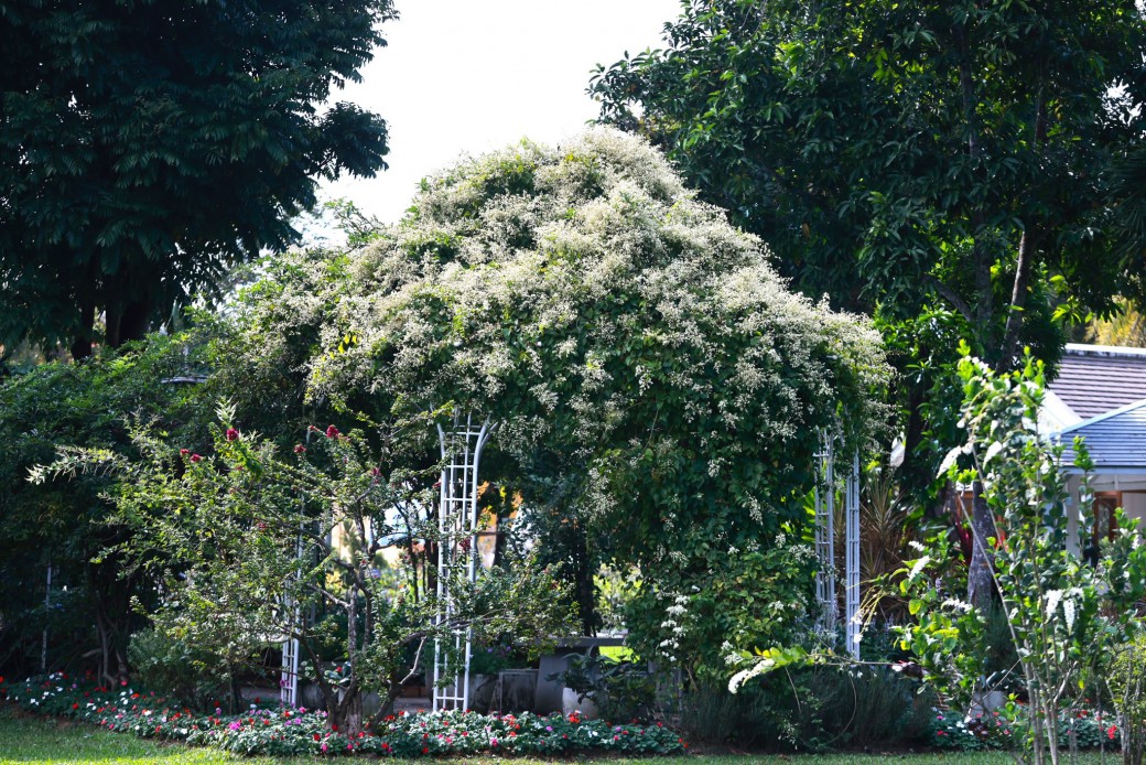 FILE-20251213-14006BPXQ4M7A913