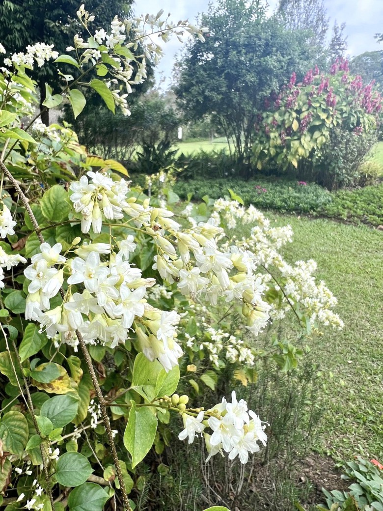 FILE-20251213-140942G572R2KJ23