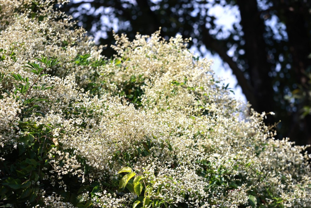 FILE-20251213-1418GJCQ7GJH99ZS