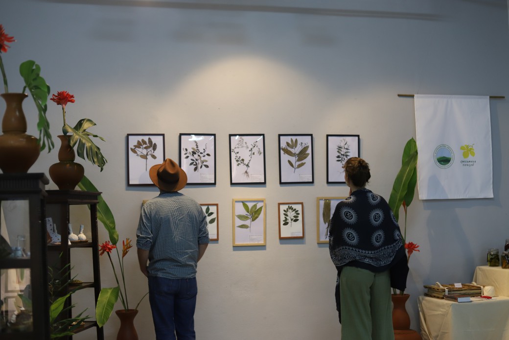 FILE-20251213-14293G1URZN24C8B