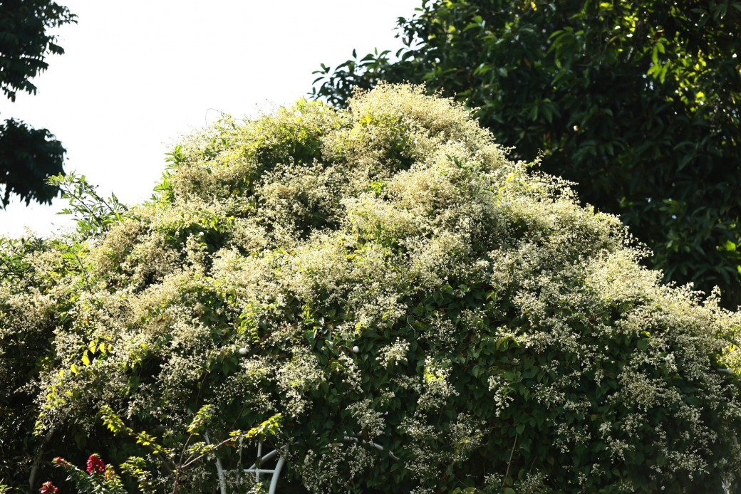 FILE-20251213-1433CECS8MJ9MPVC