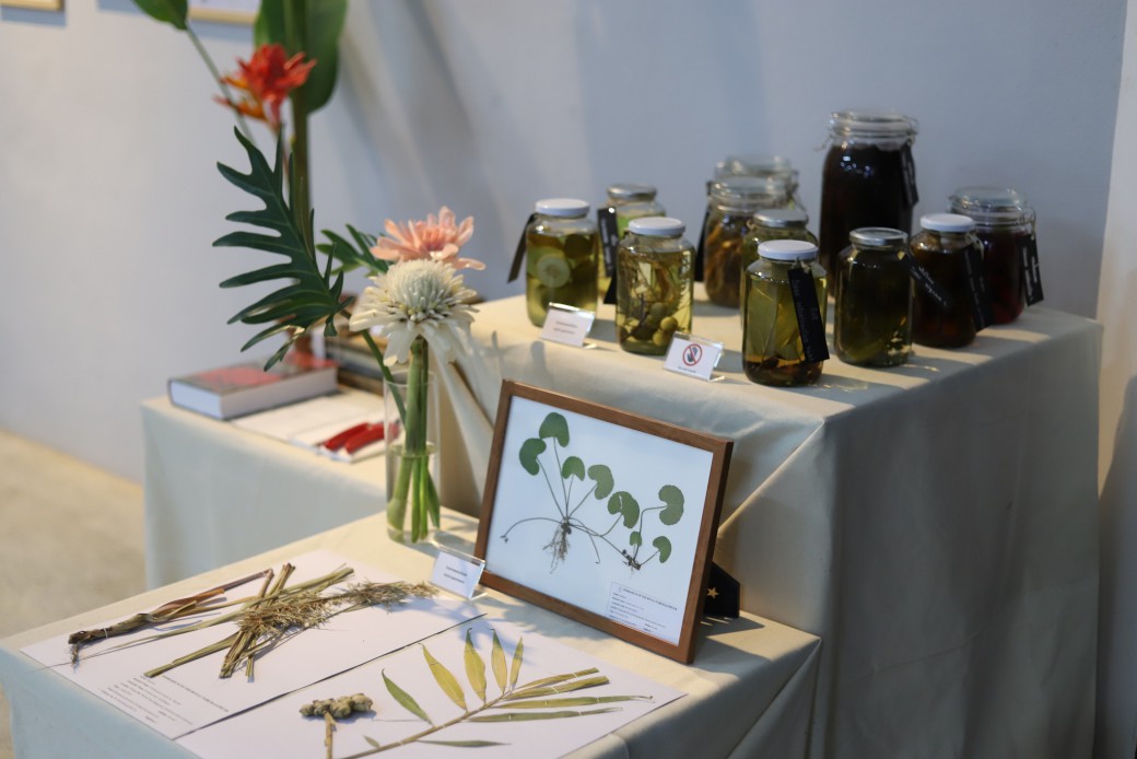 FILE-20251213-1439RXKQ1DEY15MB