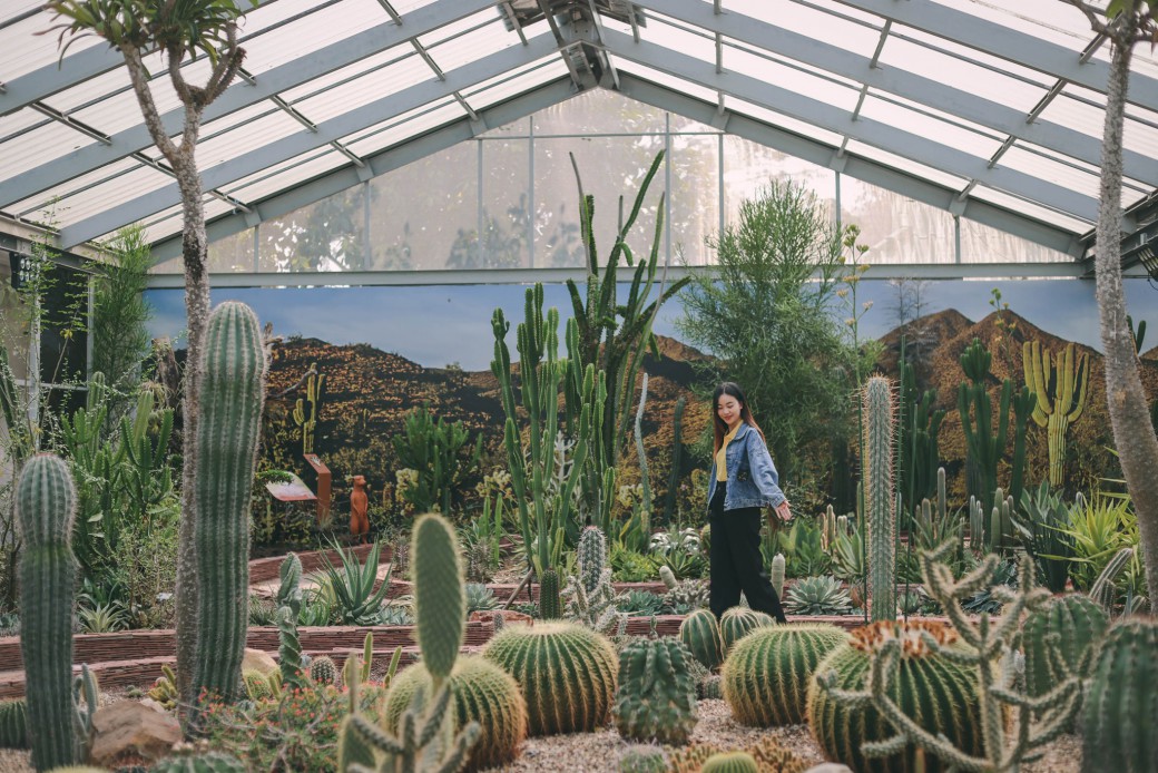 FILE-20251213-14563L4GDYKR8PEM