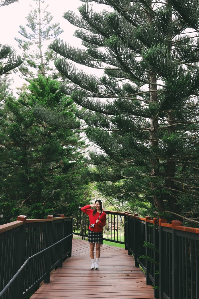 FILE-20251213-1456XKLTEHVW1Y5H