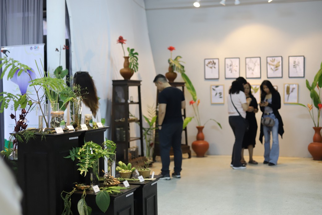 FILE-20251213-14571S4EX6UQMSDX