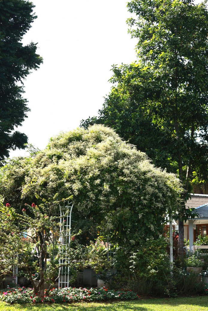 FILE-20251213-14581FTLP855V1MF