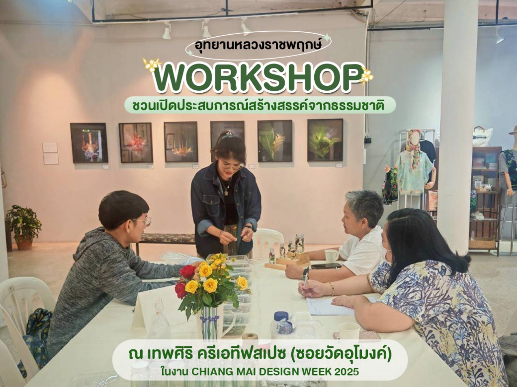 FILE-20251217-15043X689KS5SRAX