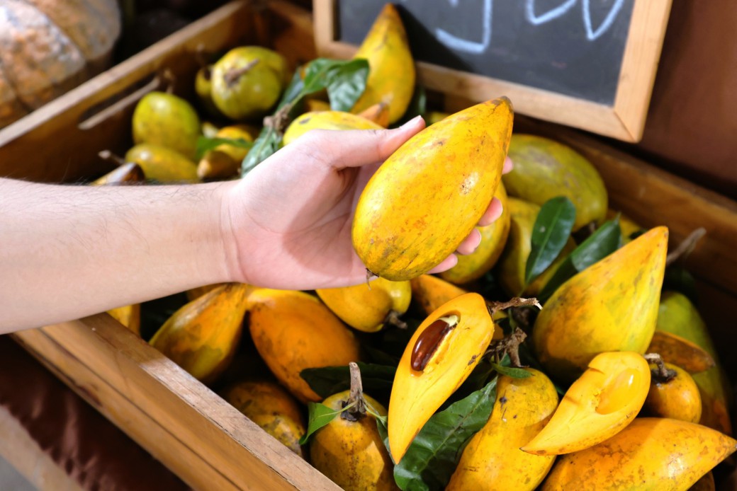 FILE-20251221-1501XWNVNM257J6G