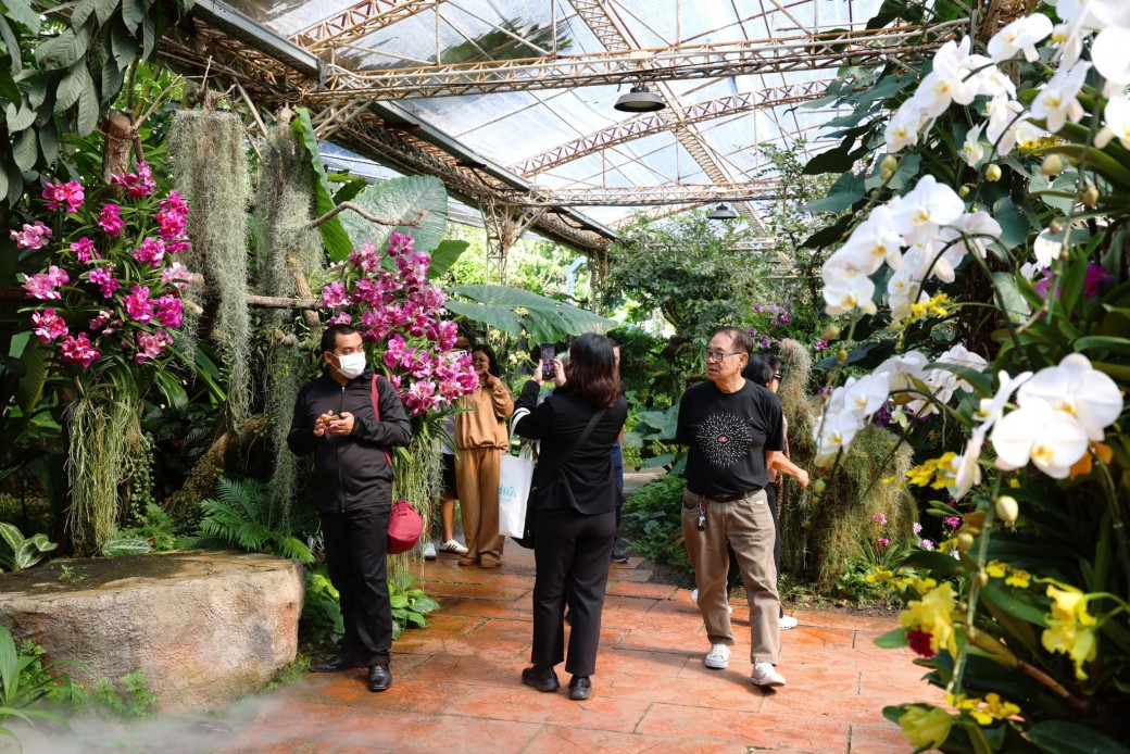 FILE-20251221-1514CWX7T6RCX3D3