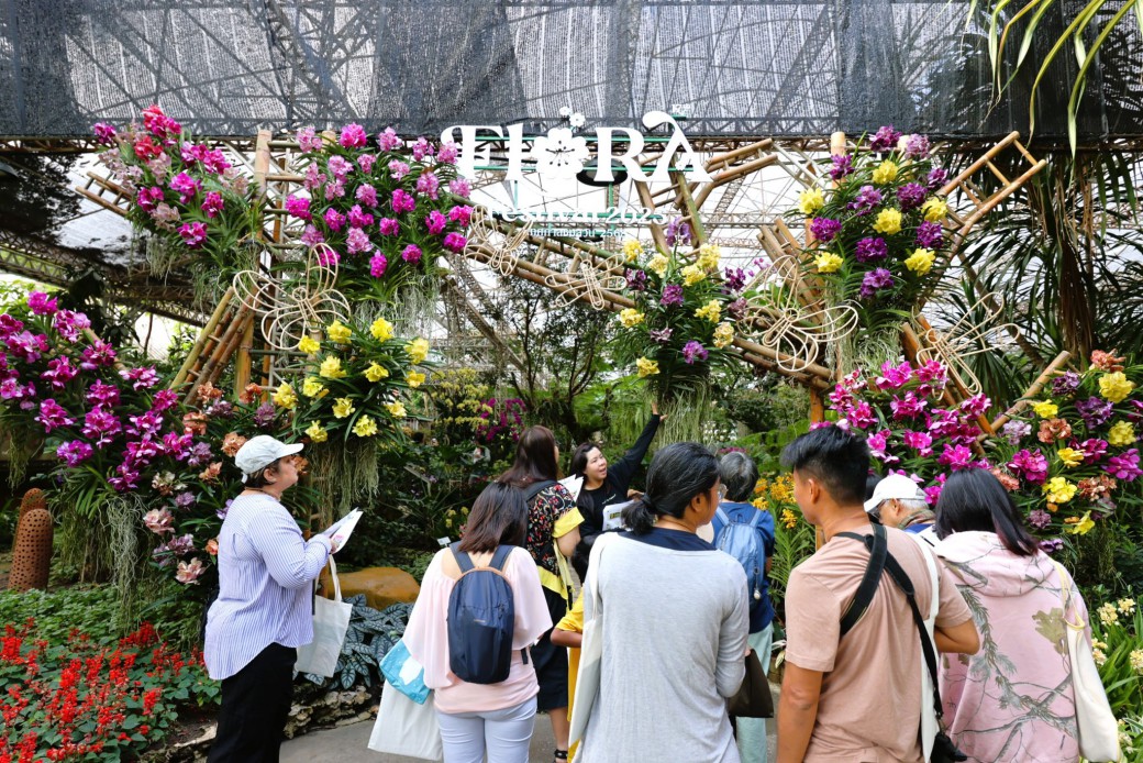 FILE-20251221-1517JMUN85ZSWUP8