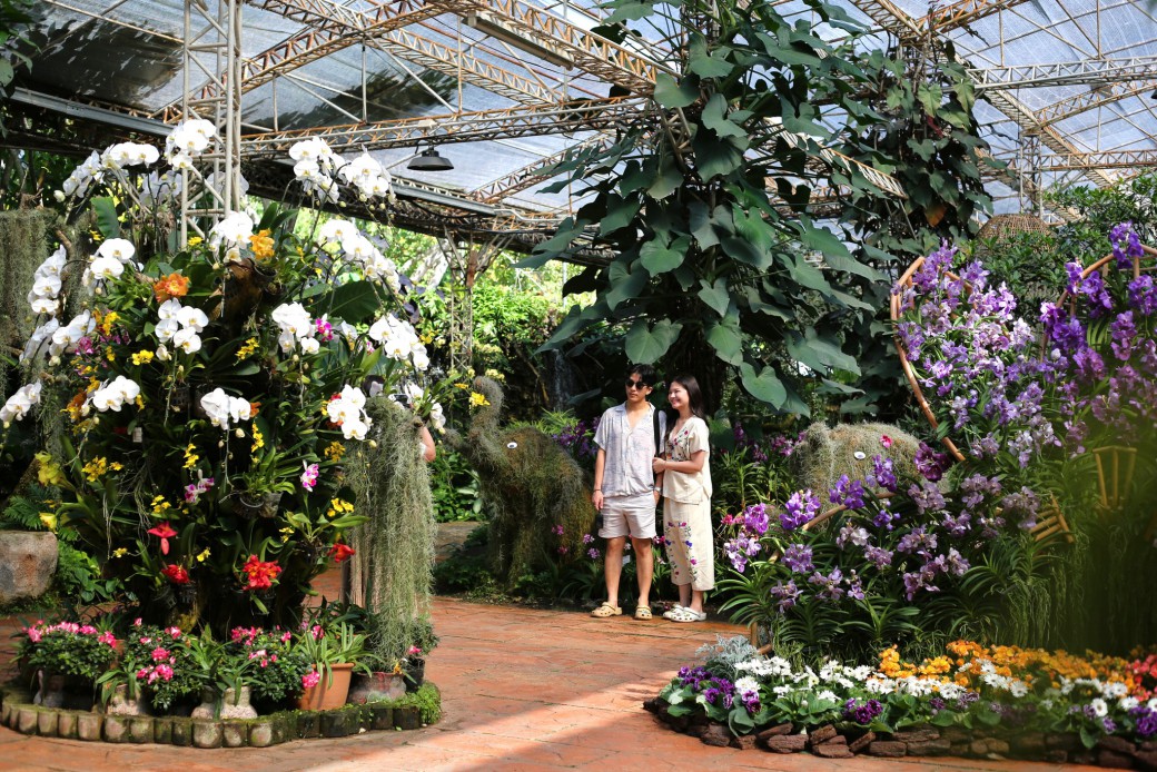 FILE-20251221-1517P582WWHPE6A4