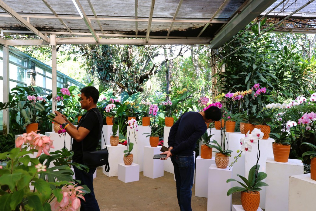 FILE-20251221-1518DNX8WL9A5N4D