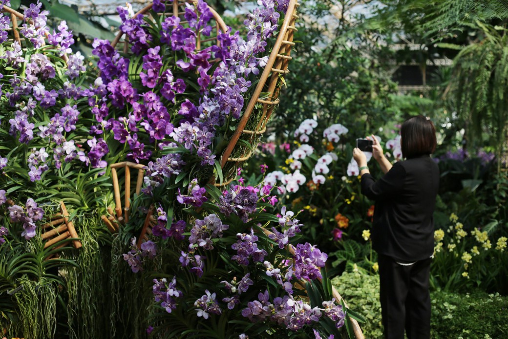 FILE-20251221-1520VACAAS275R5L