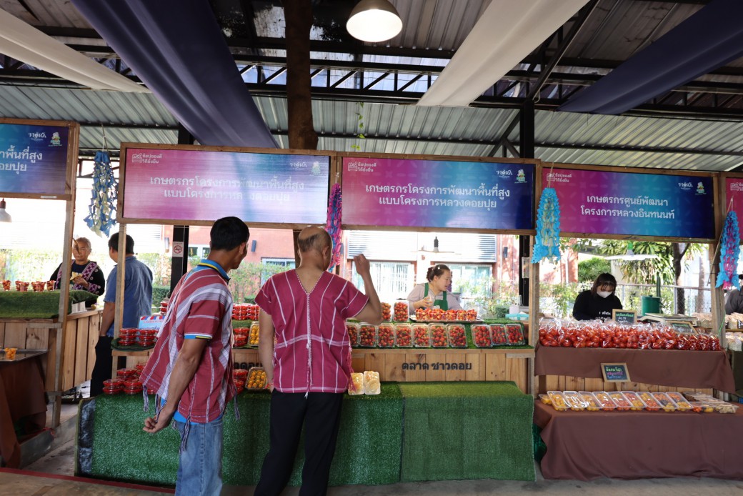 FILE-20251221-1530V1VA9P1ARCQZ