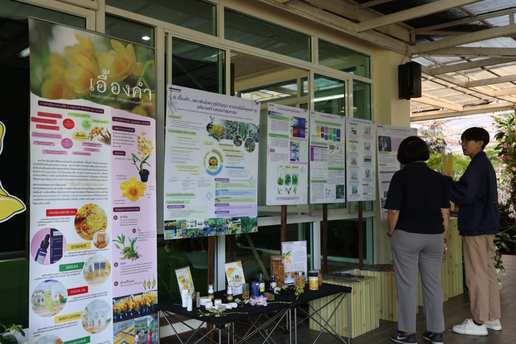 FILE-20251221-15316FWN2W8T69ZJ