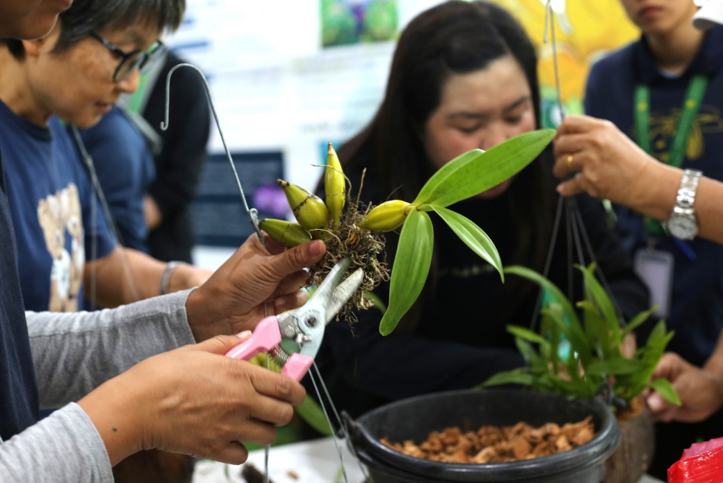 FILE-20251221-15336NBA4BWGTMUJ