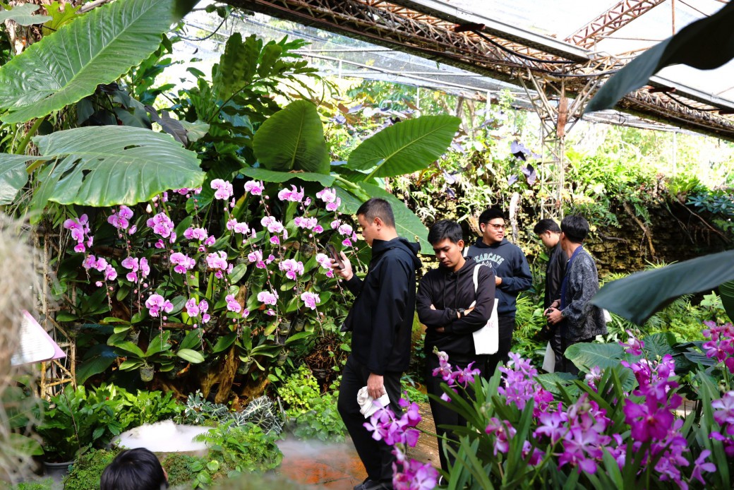 FILE-20251221-1536LBXC23486CQR