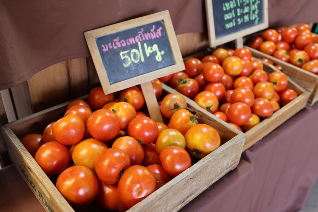 FILE-20251221-1539UNSJRKH7EQWW