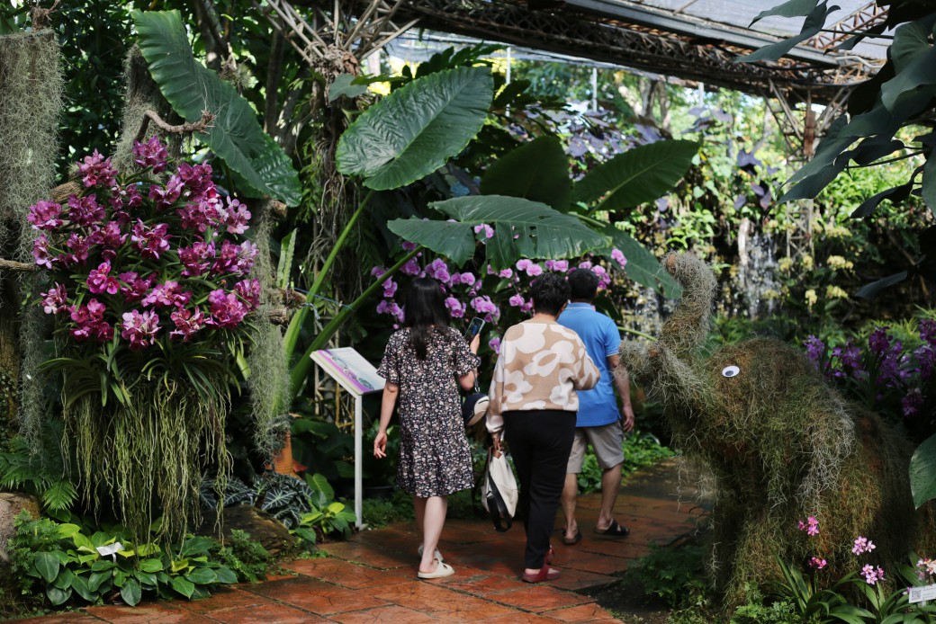 FILE-20251221-15586MG3MJC4743F