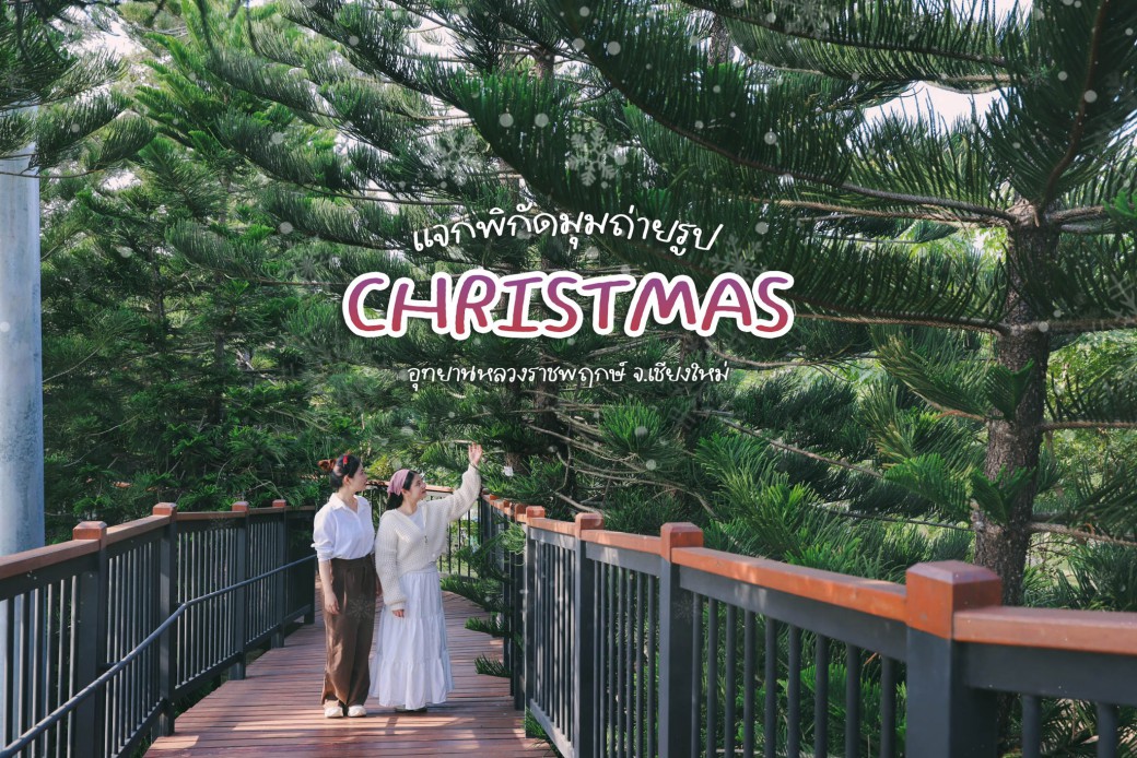 FILE-20251224-1516DPHW9TKTKWR2