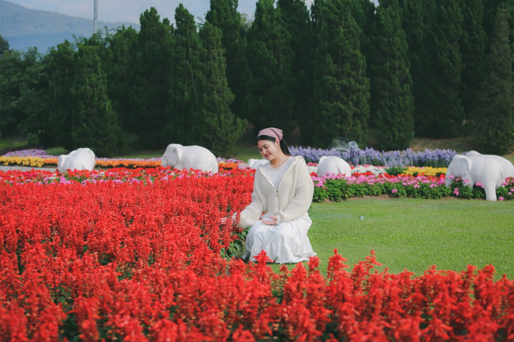 FILE-20251224-1542GBYV8NU78TMQ