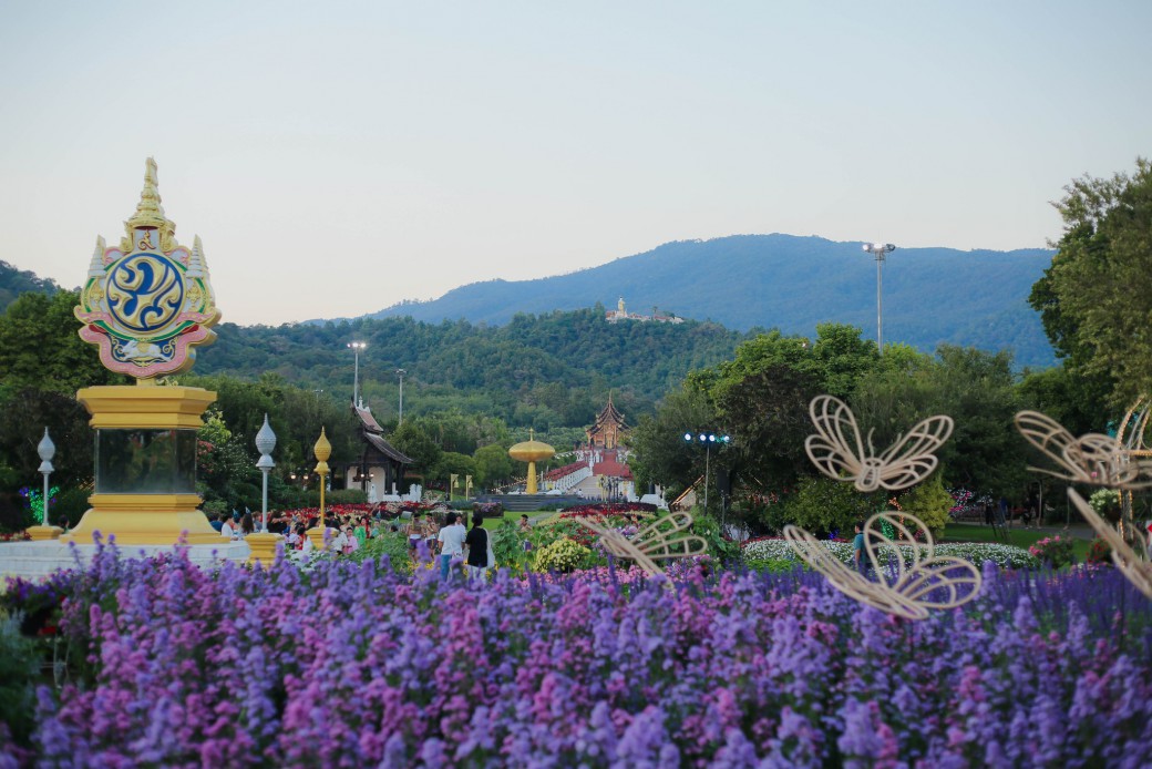 FILE-20251228-1425NH5M92TVCGRS