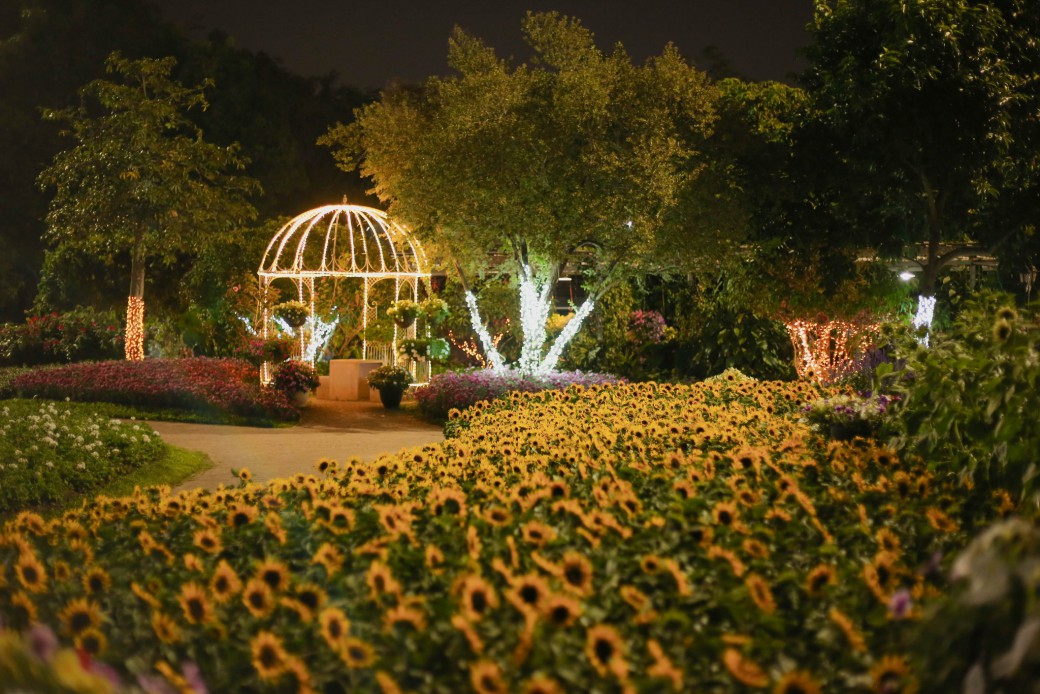 FILE-20251228-14265HUASKS5NKQT