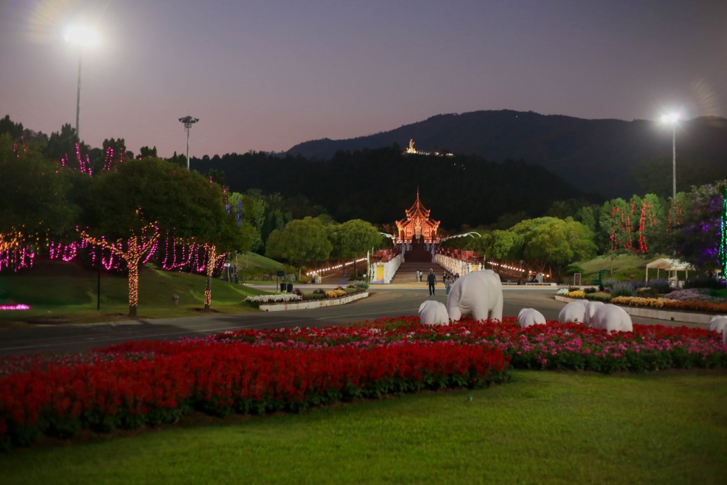 FILE-20251228-1436FBJZG96H1QZV