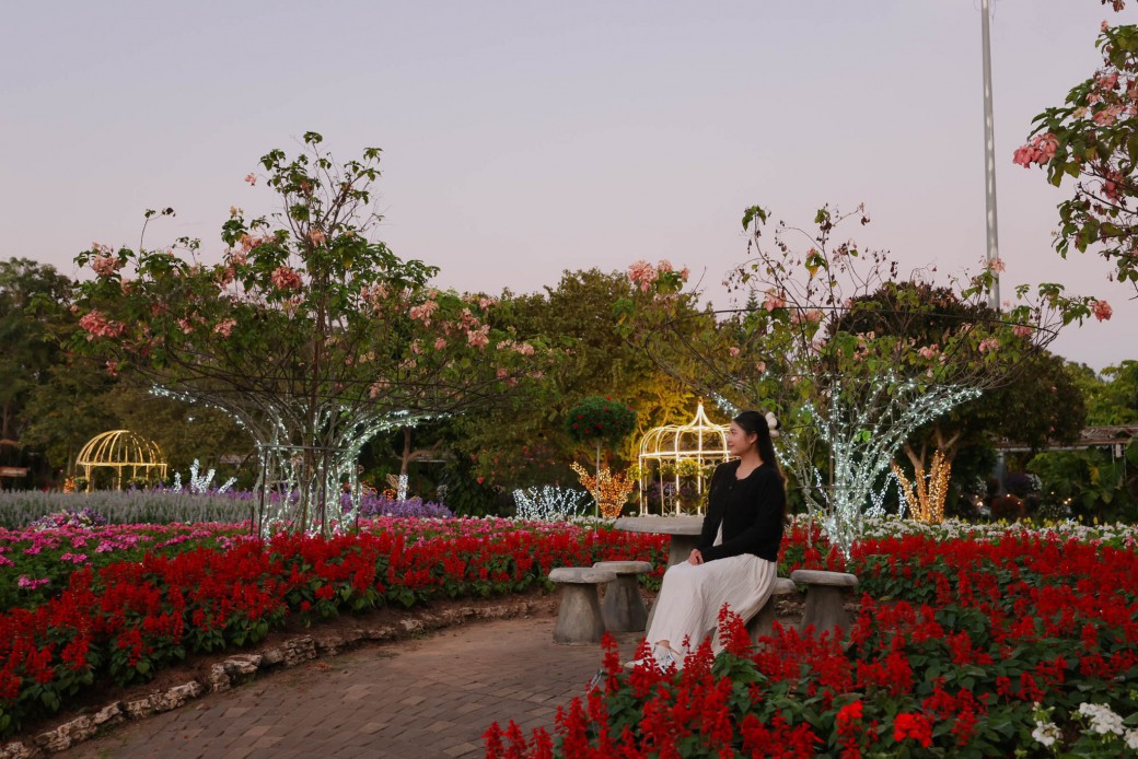 FILE-20251228-14488Q9D6ZS6RP4A