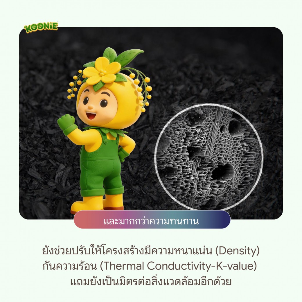 FILE-20251228-14554U2STE52J5Z2