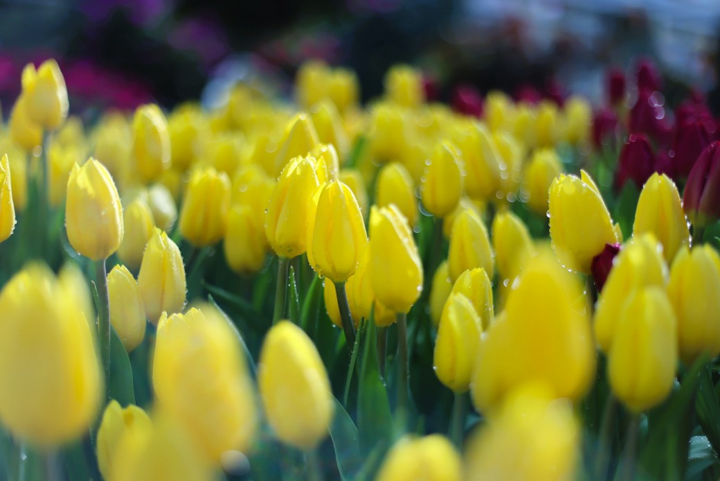 FILE-20251230-12237DFVU1AXKERM