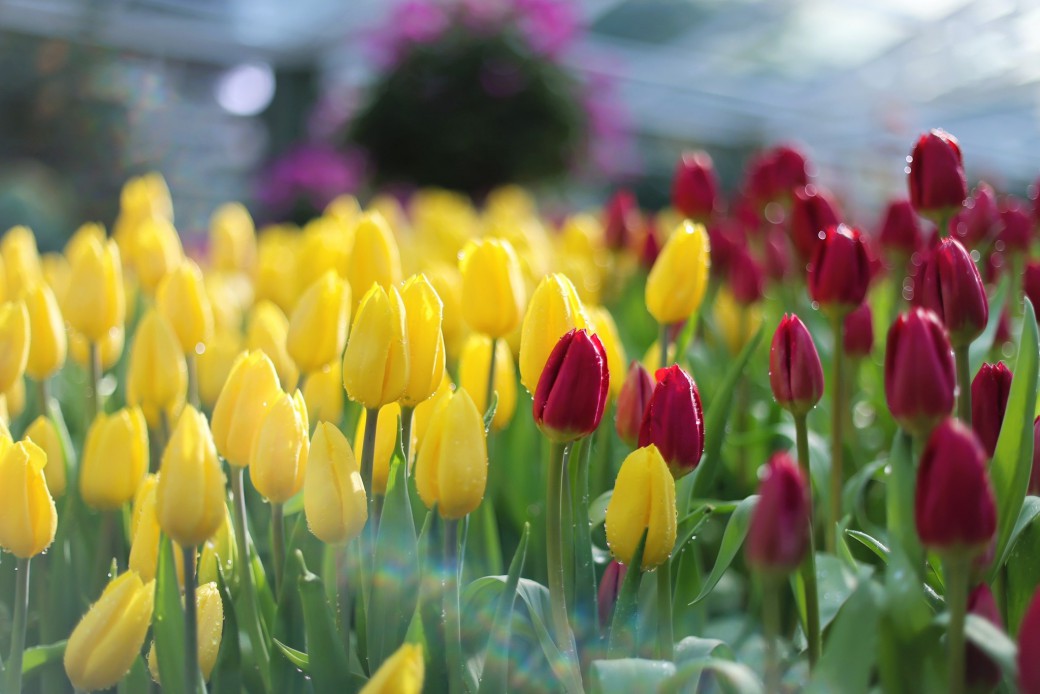 FILE-20251230-1228UWRWNGEPMS6S