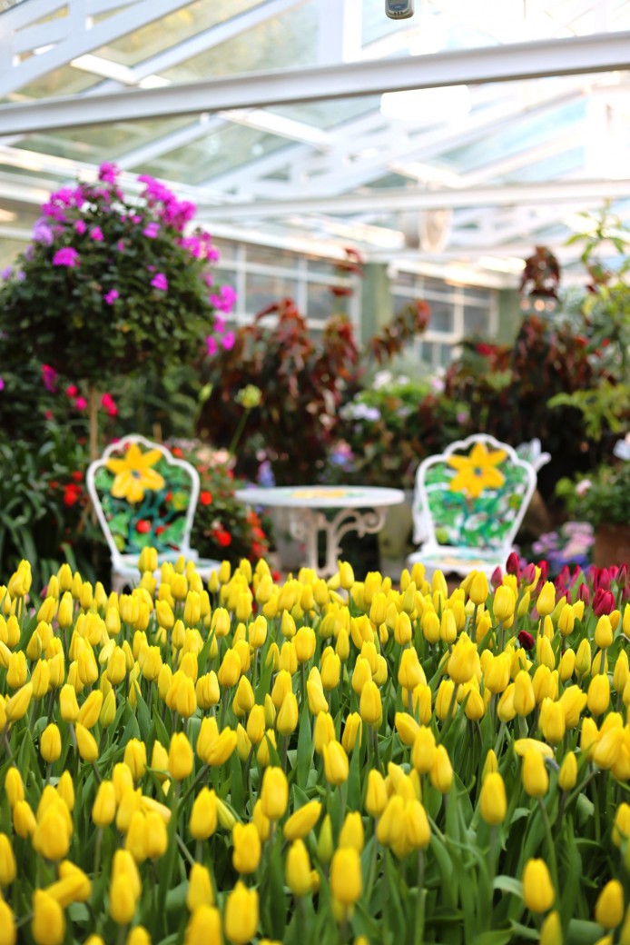 FILE-20251230-12377GRTMQY2KX6F