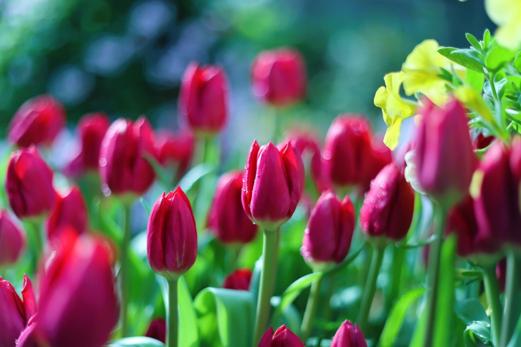 FILE-20251230-1240GBPV7TN18HAW