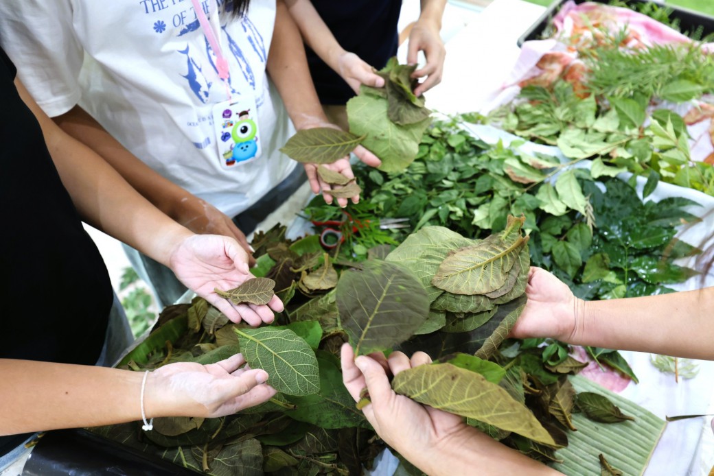 FILE-20260104-1704GX2XLLNYSWDH