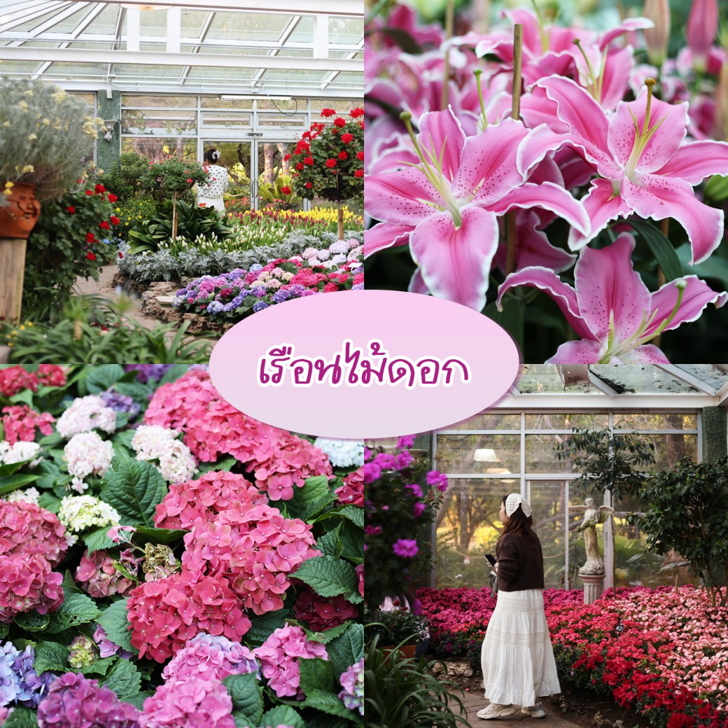 FILE-20260104-1707LX42S2PFYPYH