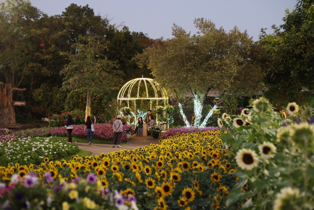 FILE-20260104-1711EC72AKSRLNBP