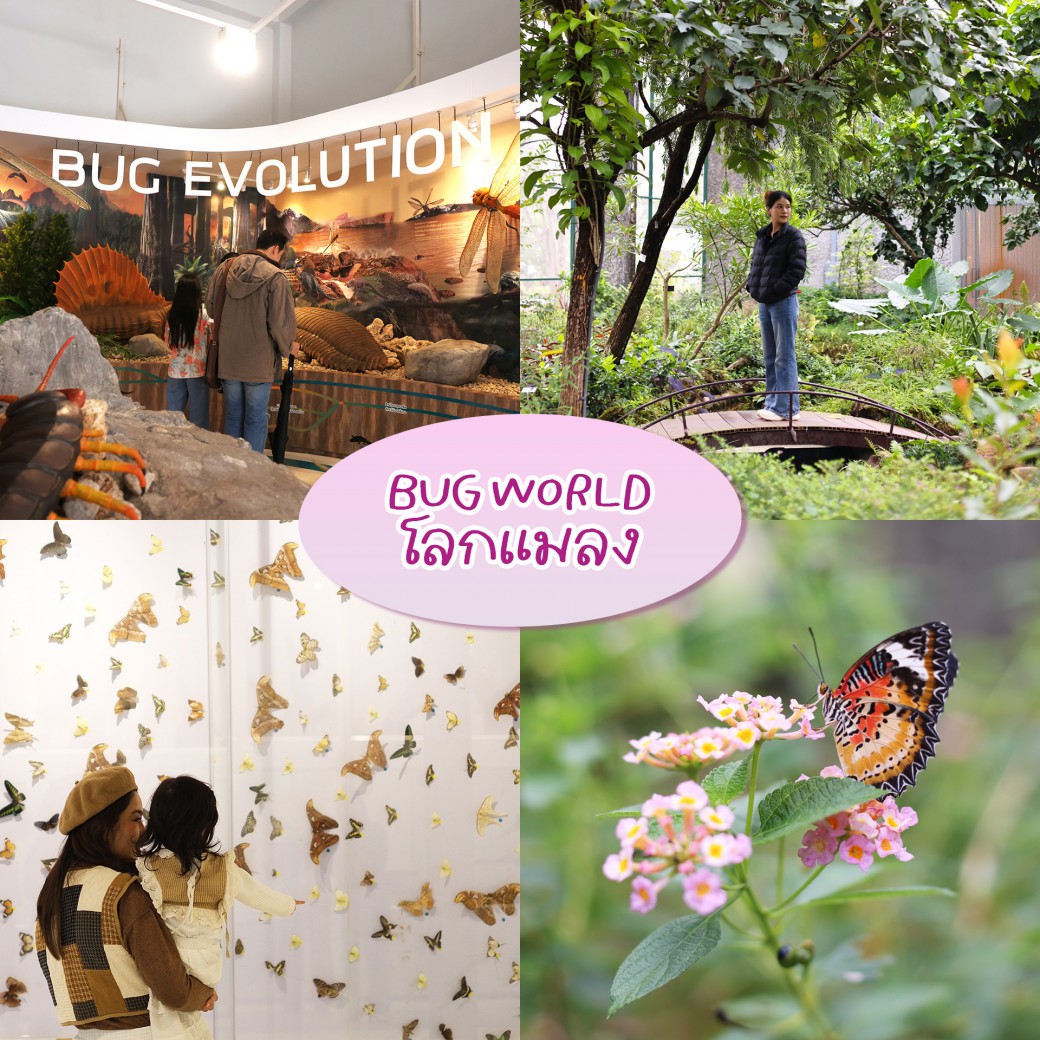 FILE-20260104-1711L56ZV2SNVN42