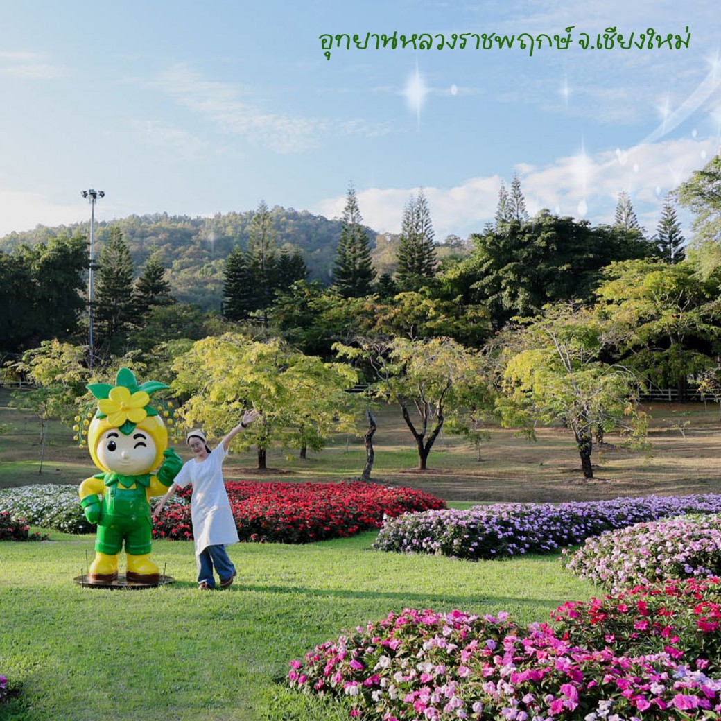 FILE-20260104-17176Z56524QPRE6