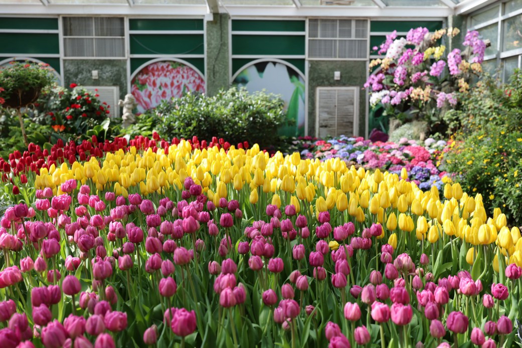 FILE-20260104-1718GM78ZMM3YEK2