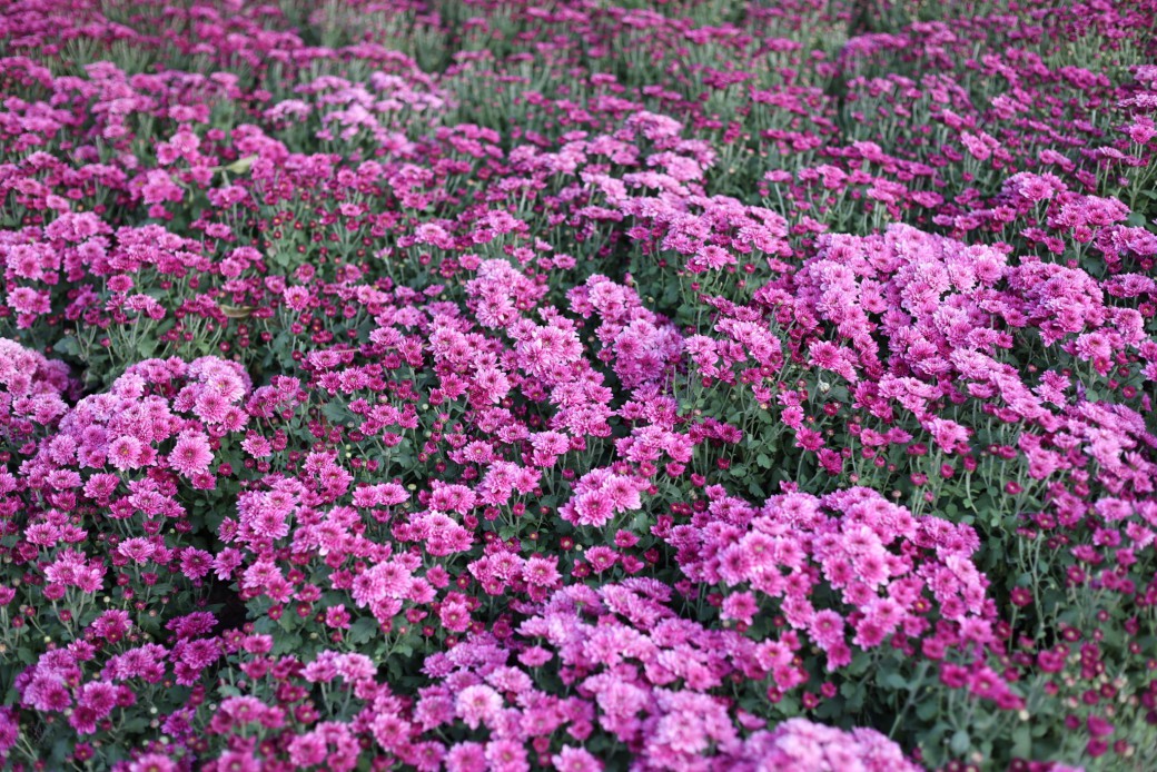 FILE-20260104-172297CDM6UJGR54