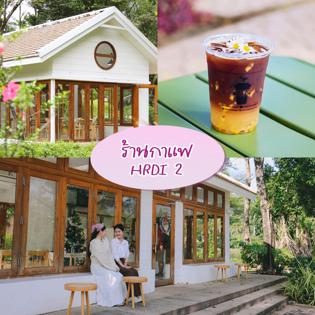 FILE-20260104-1725L3MV68W11RLC