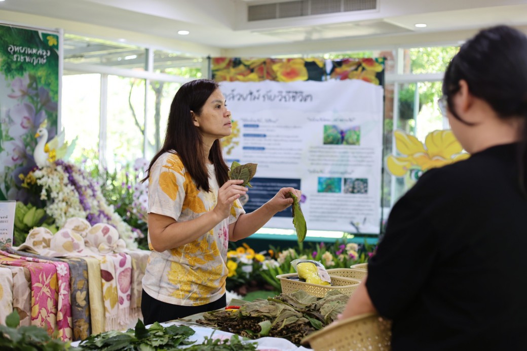 FILE-20260104-1730EJYZ6MN1J1GU