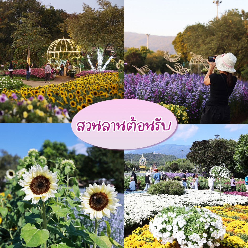 FILE-20260104-1736B15989D78BSS