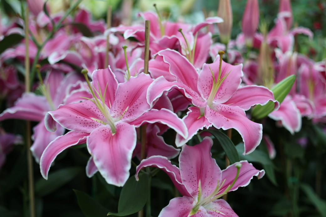 FILE-20260104-1737N45GDP2QWJ8V