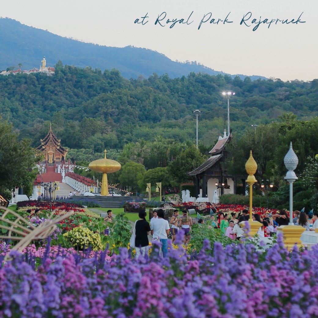 FILE-20260104-17389SDG8AKQAMF8