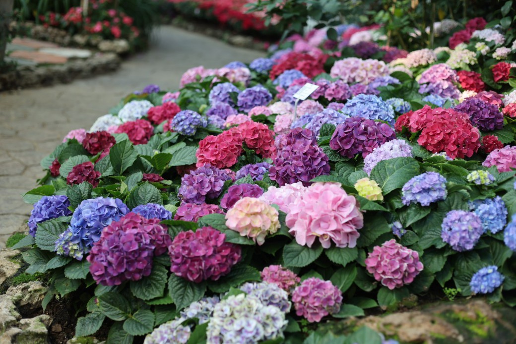 FILE-20260104-17419HVJ2WSG2Q5U