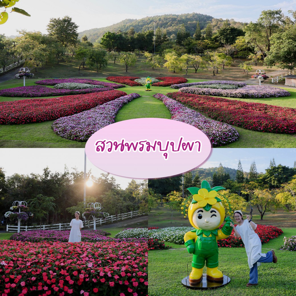 FILE-20260104-1742YQD67BJSK96U