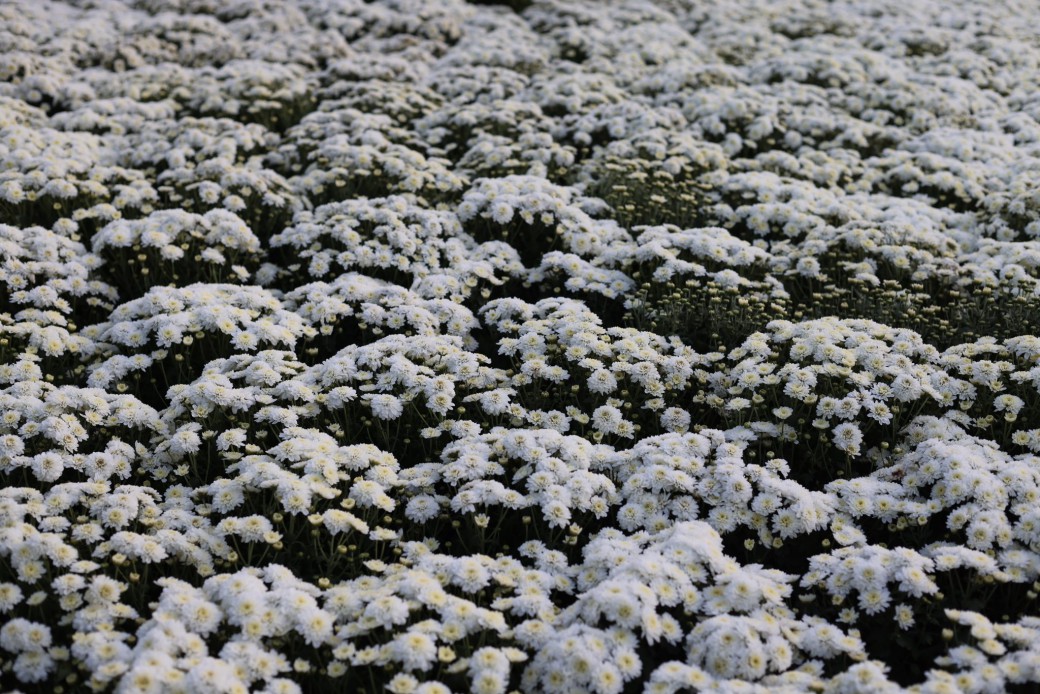 FILE-20260104-17495QWZWJ8REDSQ